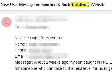 95 Web searches per month